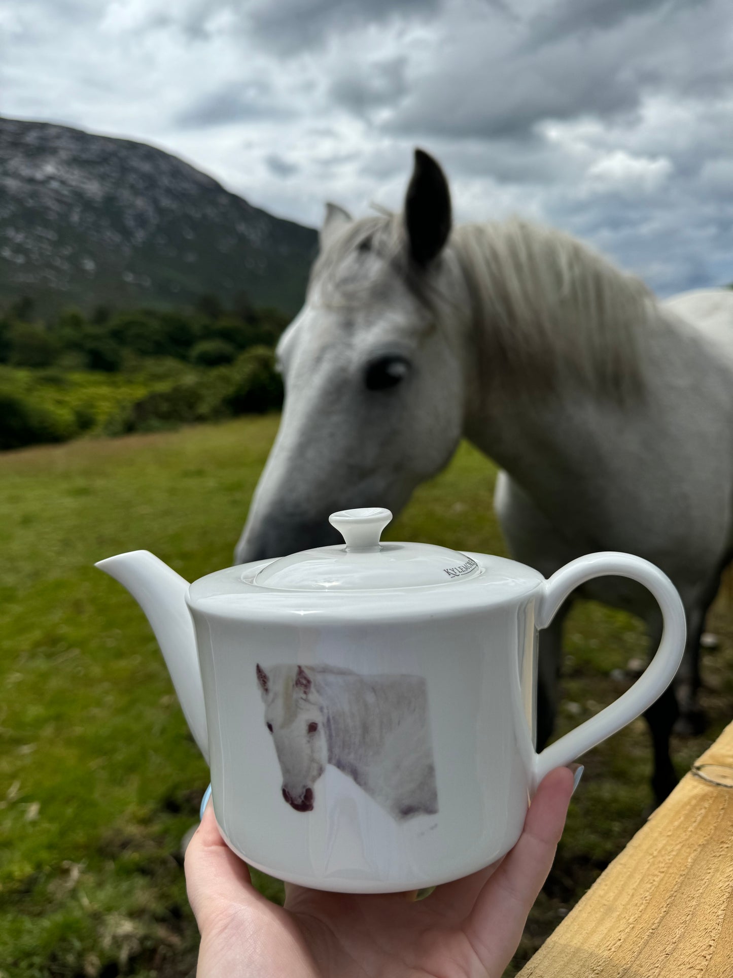 
                  
                    Grey Pony Teapot-Sr.Karols Tableware Collection
                  
                