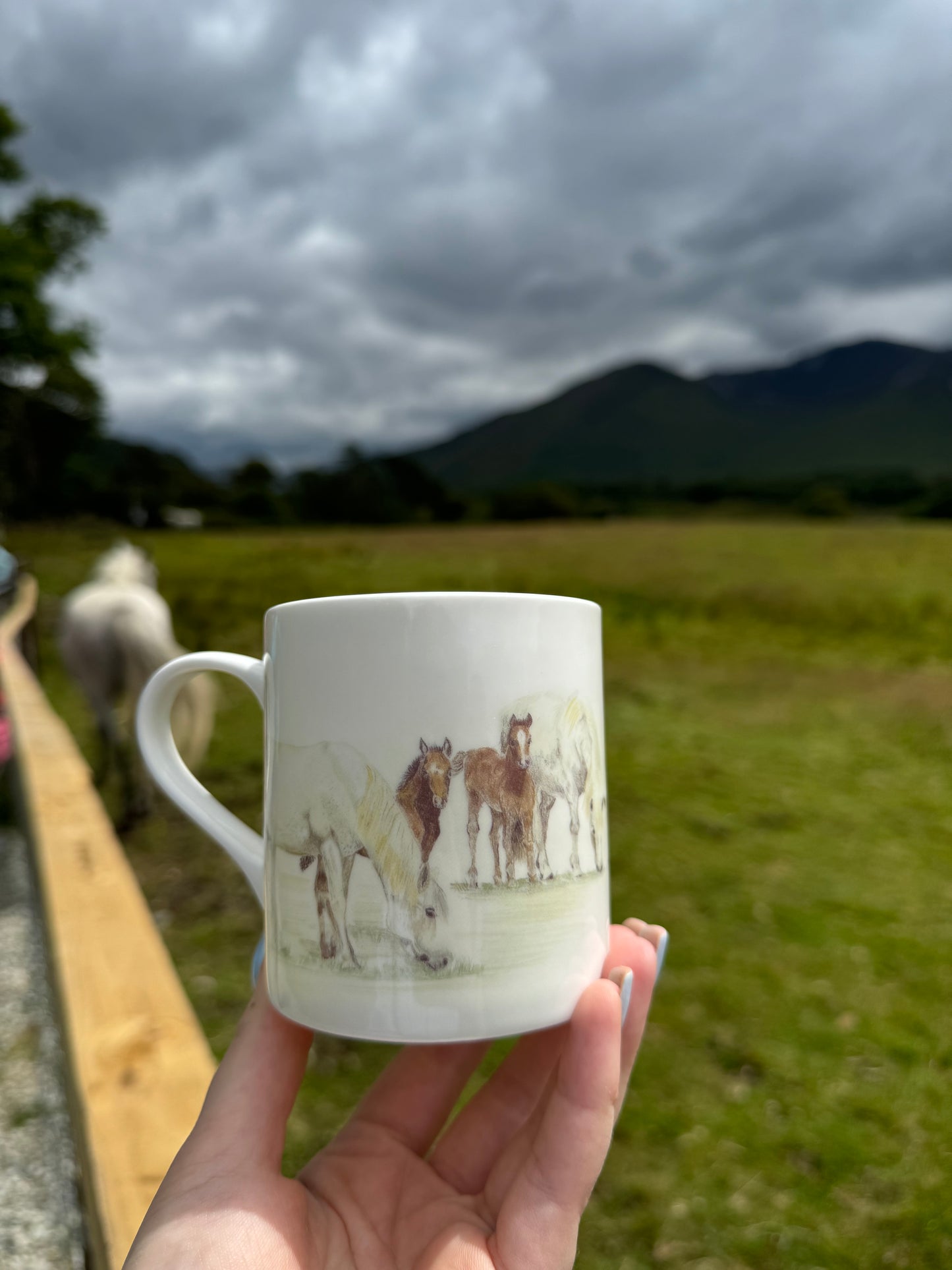 
                  
                    Sr. Karols Tableware Collection-Ponies Grazing Mug
                  
                