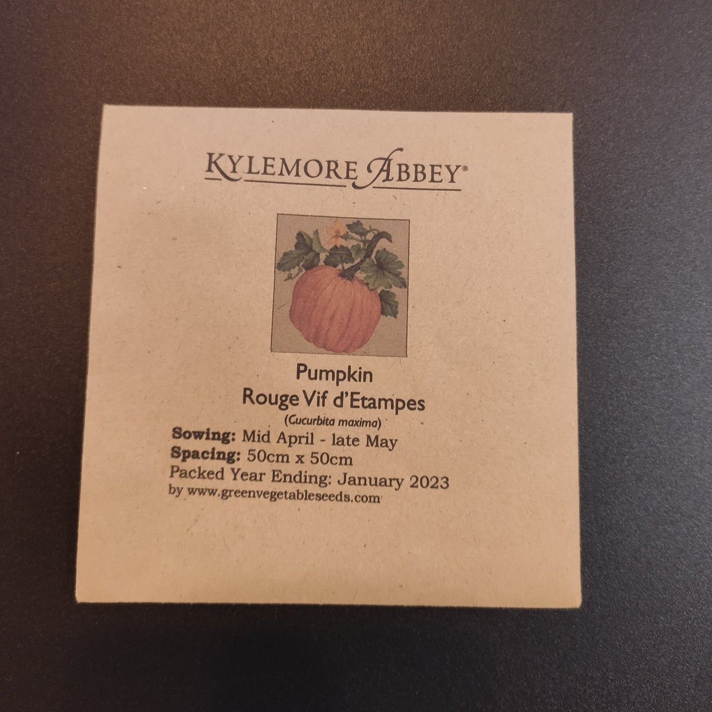 
                  
                    Kylemore Abbey Pumpkin, Rouge Vif dEtampes Seeds
                  
                