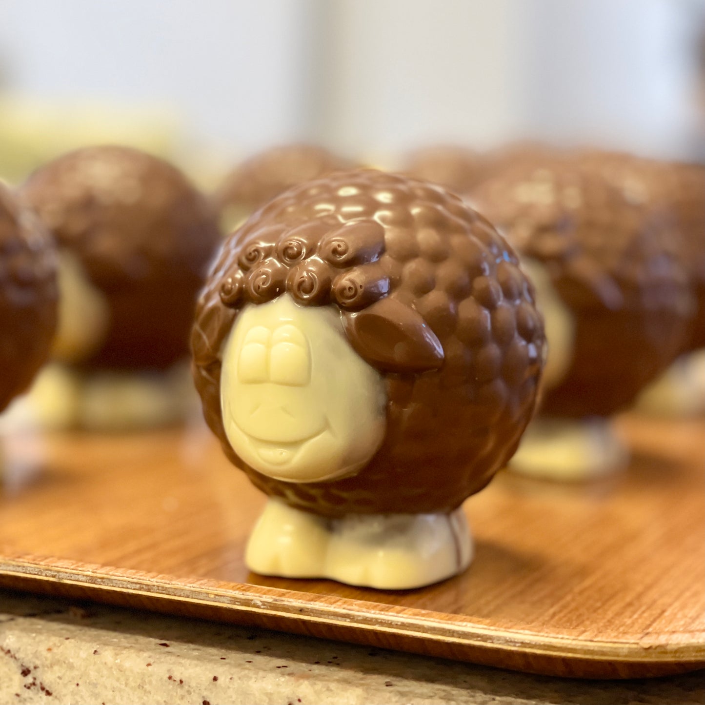 
                  
                    Galway Chocolate Sheep
                  
                