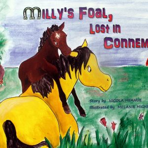 
                  
                    Millys Foal Lost In Connemara
                  
                