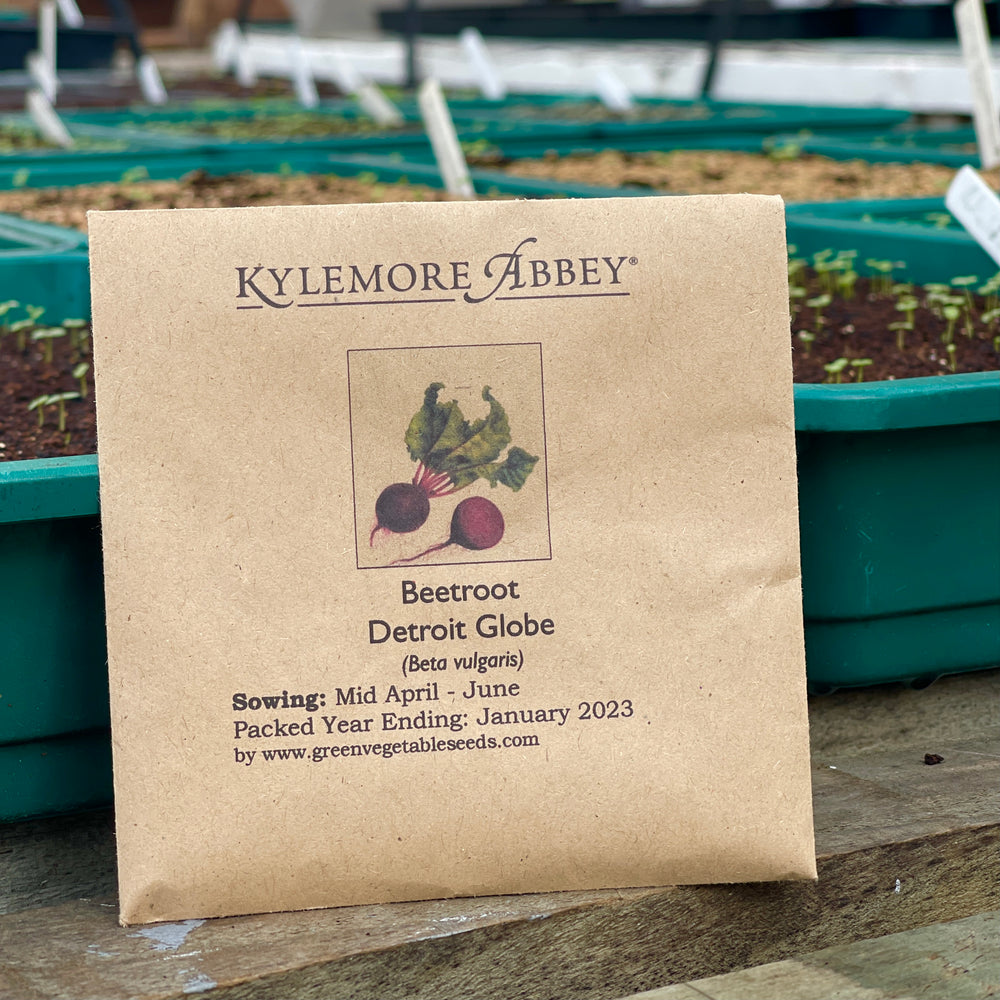 
                  
                    Kylemore Abbey Beetroot Detroit Globe Seeds
                  
                