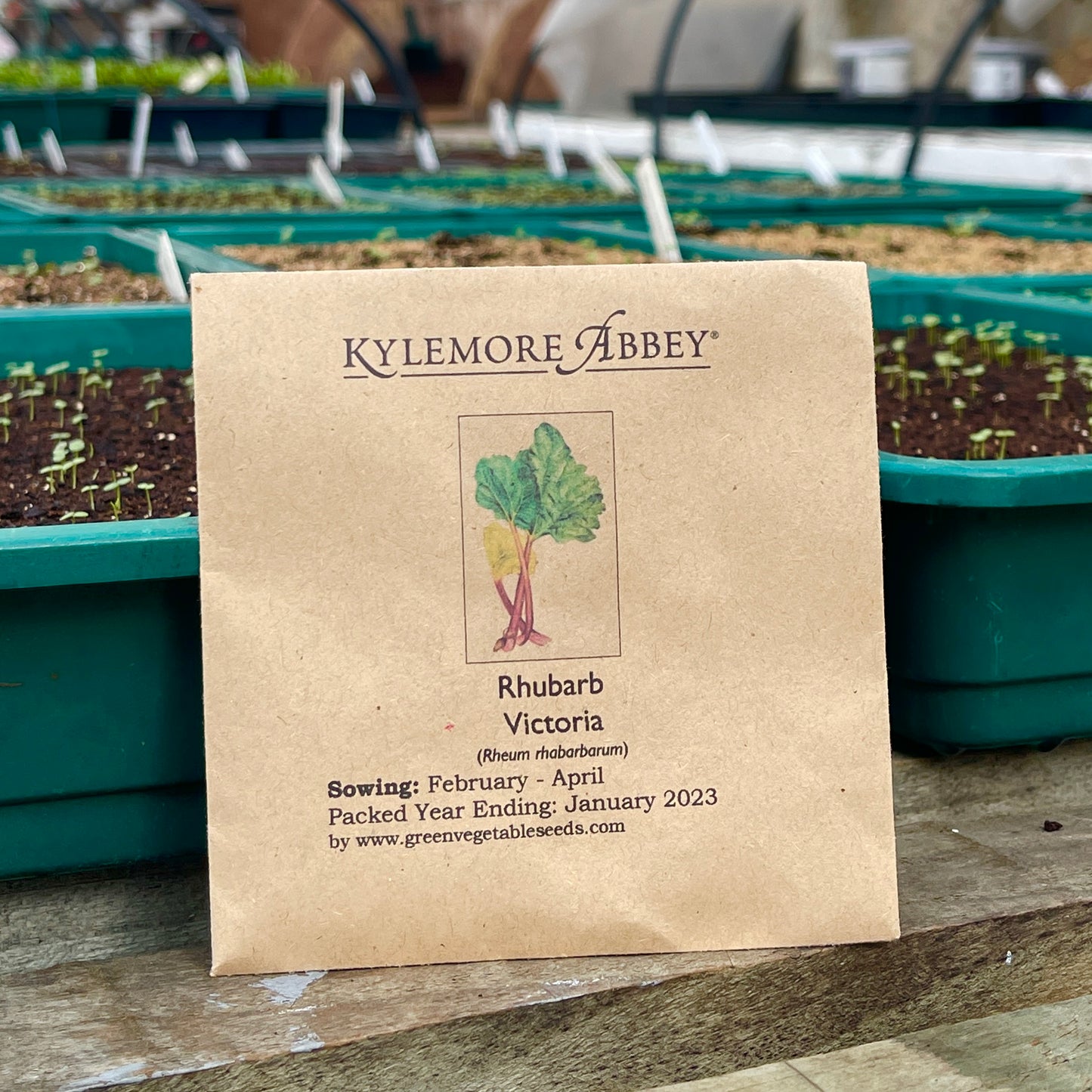 
                  
                    Kylemore Abbey Rhubarb Victoria Seeds
                  
                