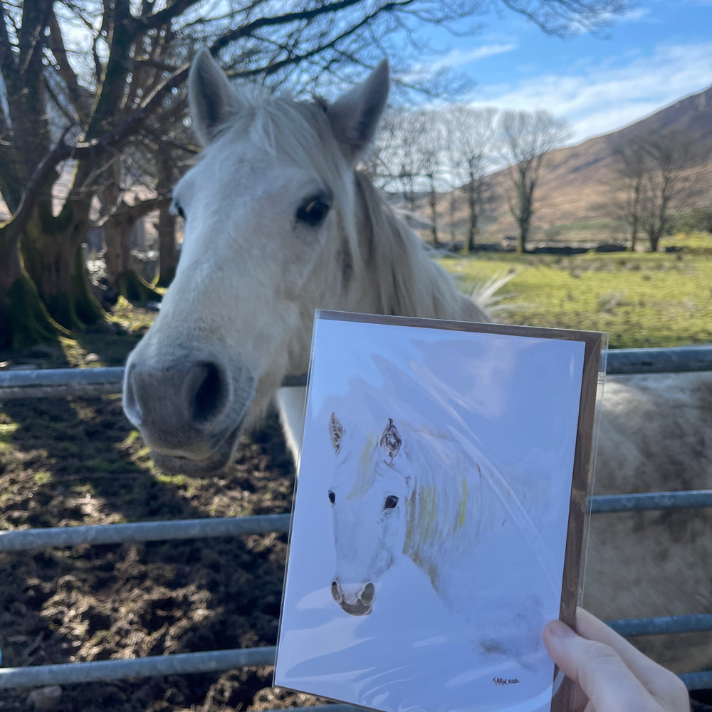 
                  
                    Sr Karols Greeting Card - White Horse
                  
                
