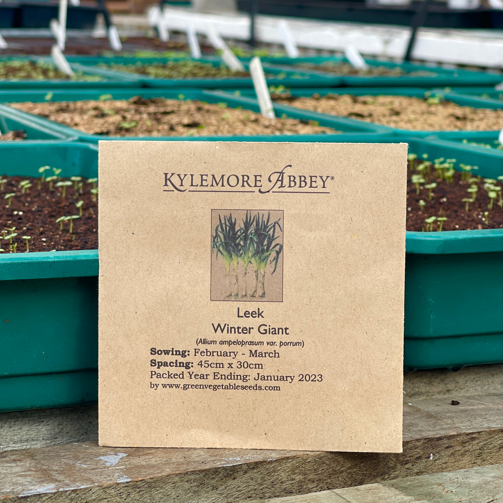 
                  
                    Kylemore Abbey Leek Winter Seeds
                  
                