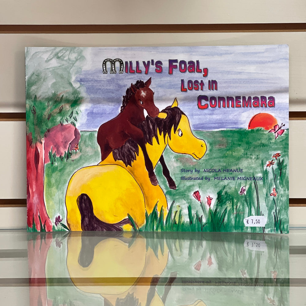 
                  
                    Millys Foal Lost In Connemara
                  
                