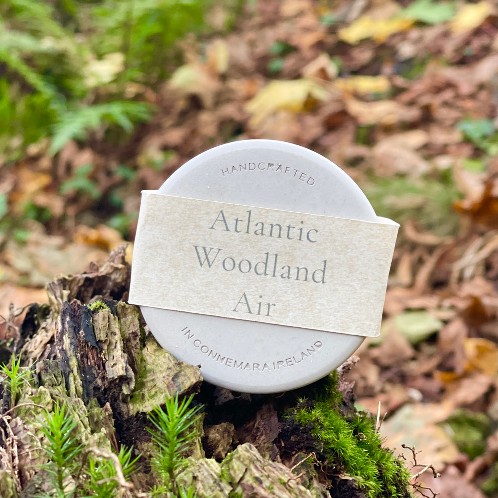 
                  
                    Kylemore Abbey Atlantic Woodland Air Candle
                  
                